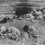 Armenian Genocide photo